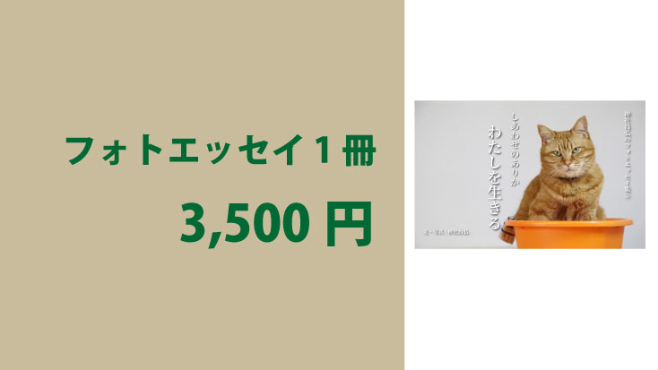 📖 フォトエッセイ1冊｜3,500円